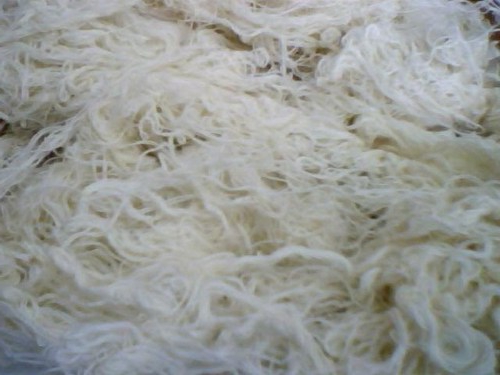 Baumwollproduktion