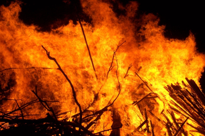 Die schädlichen Faktoren eines Waldbrands