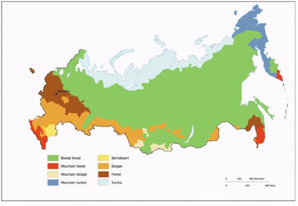 Klimazonen von Russland