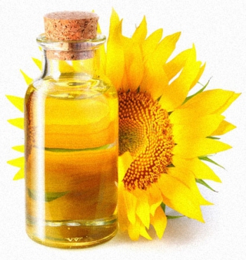 Auswahl von Anlagen zur Herstellung von Sonnenblumenöl