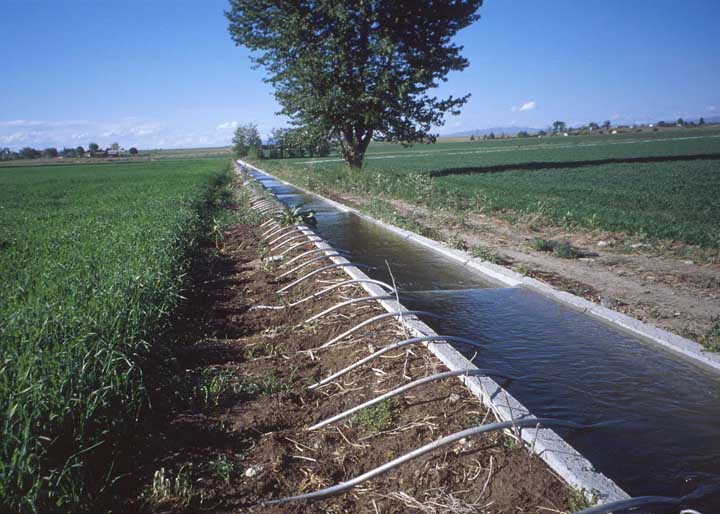 Bewässerungssystem