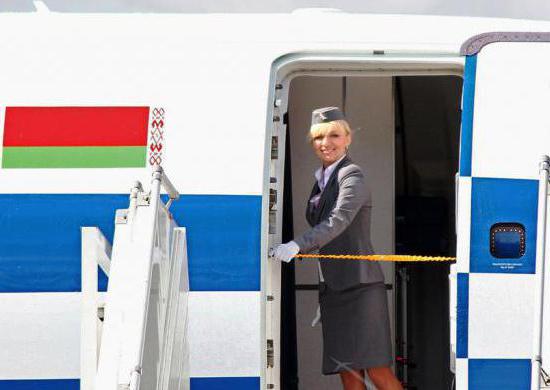 Wie viele Flugbegleiter in Belarus