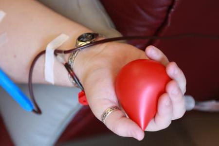 Wie viel Blut kann gespendet werden?