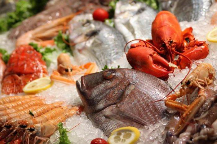 Beste Fischrestaurants in Moskau Bewertung