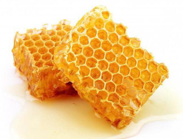 Bienenzucht für Anfänger