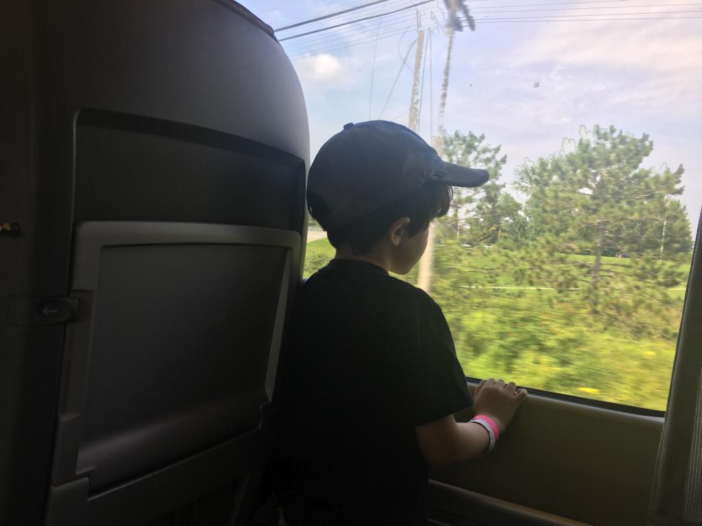 Jongen in de trein
