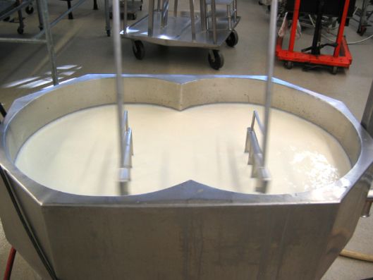 Milchverarbeitungs-Ausrüstung