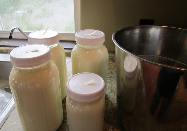 Hausgemachte Milch ist ein wertvolles Produkt.